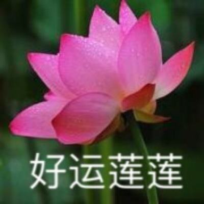 完美贪吃蛇大战最新版下载